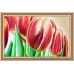 Картины для интерьера, Цветы, ART: CVET777108